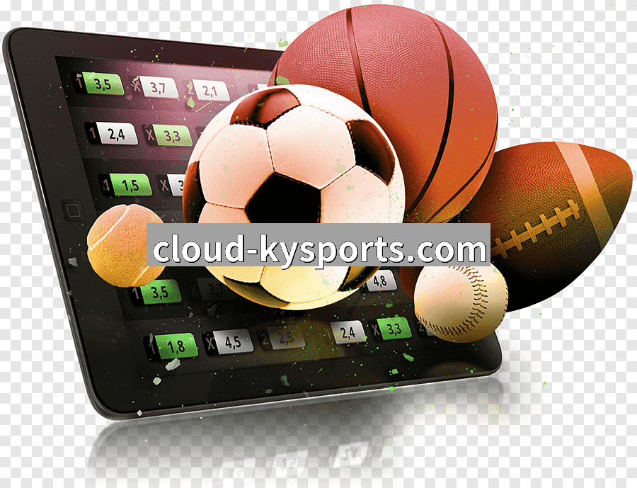 开云体育体育APP获取